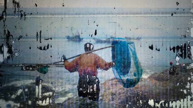 Daniel Hinks_The Sunshiners_ Code Red in Green China_2021