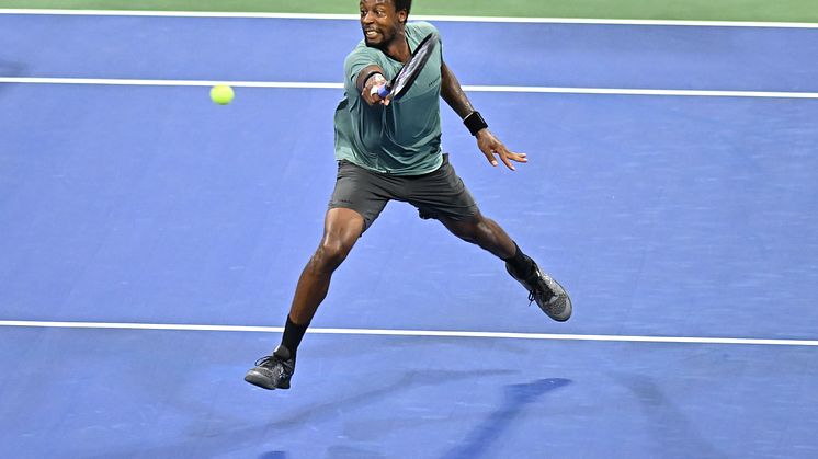 Gaël Monfils, Frankrike