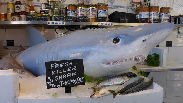 It's not shark on the menu, it's you...