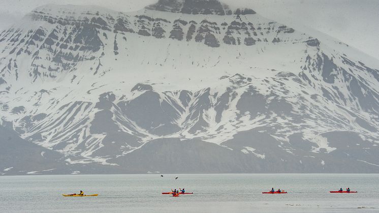 Bamsebu-Svalbard-HGR-146295- Photo_Dr._Verena_Meraldi