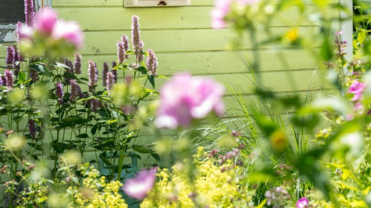 WildgaertnerFreude_Bienenhaus_0007