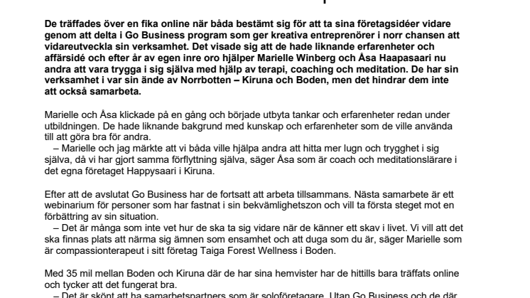 PRM_GoBusiness_happysaari_tfwellness_230511.pdf