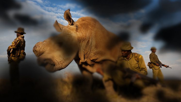 BrentStirton_DiabeticRetinopathy