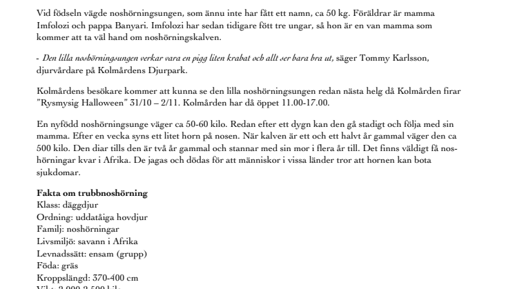 Noshörningsunge född på Kolmården
