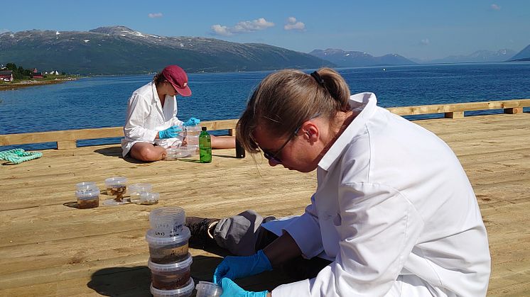 Intervju med plastforsker Claudia Halsband