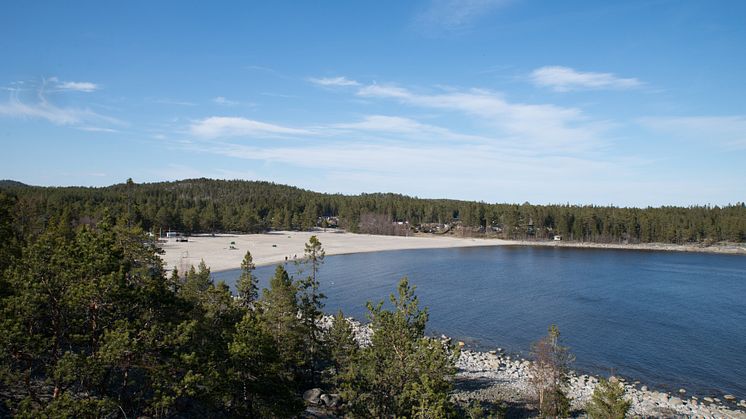 Sveriges ledande turistforskare gör förstudie för Härnösand och Höga Kusten