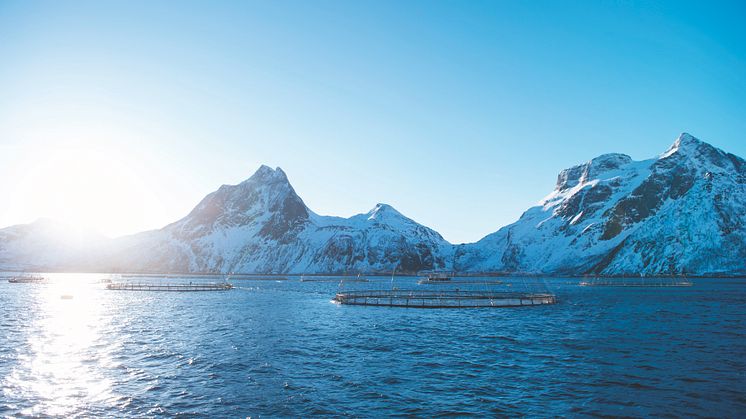 Vor über 40 Jahren entstand die erste Aquakulturanlage in Norwegen. Die lange Erfahrung und die Zusammenarbeit von Fischerei, Wissenschaft und Staat machen Norwegen heute zum internationalen Vorreiter in der nachhaltigen Lachszucht.