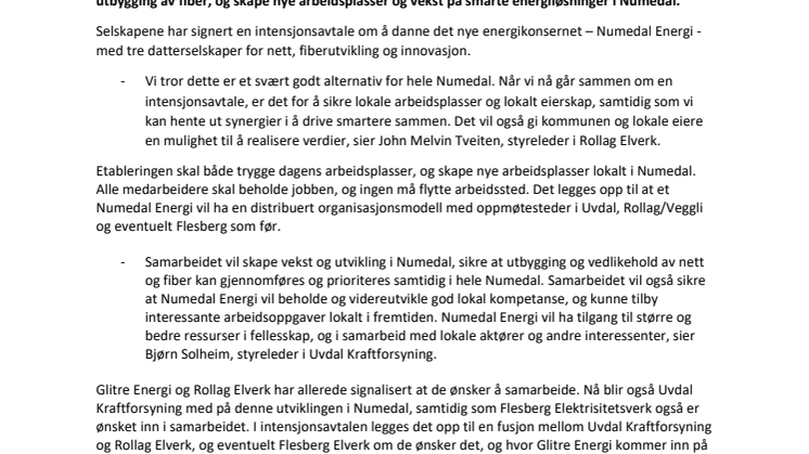 19.1.21 PM Rollag, Uvdal og Glitre Energi .pdf