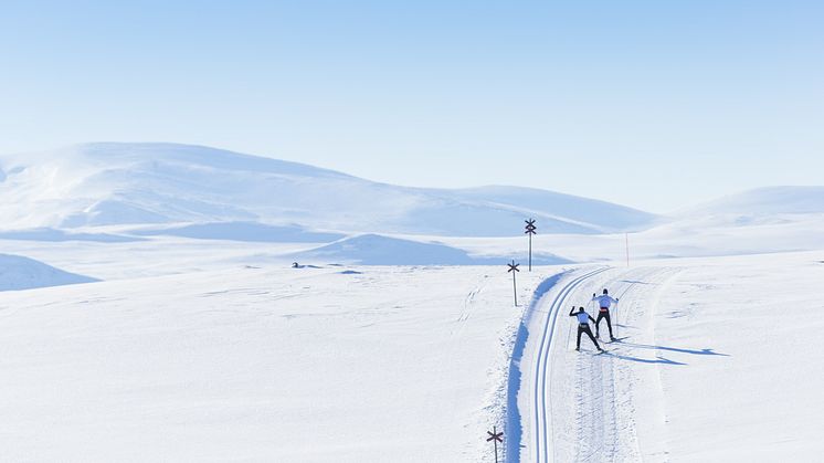 Längdåkning på högfjäll