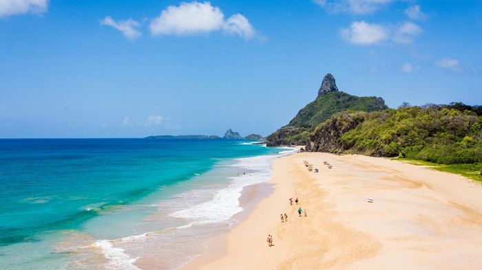 Photo credit :  Shutterstock