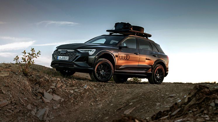 Audi_Q8_dakar