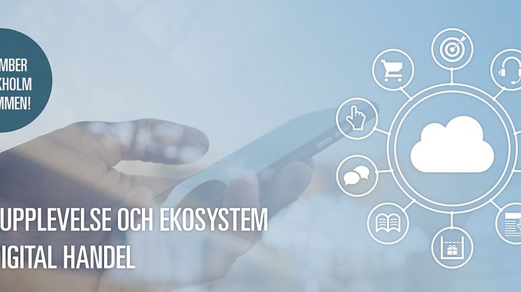 ​Håll nere kostnaderna och maximera nyttan av dina IT-system
