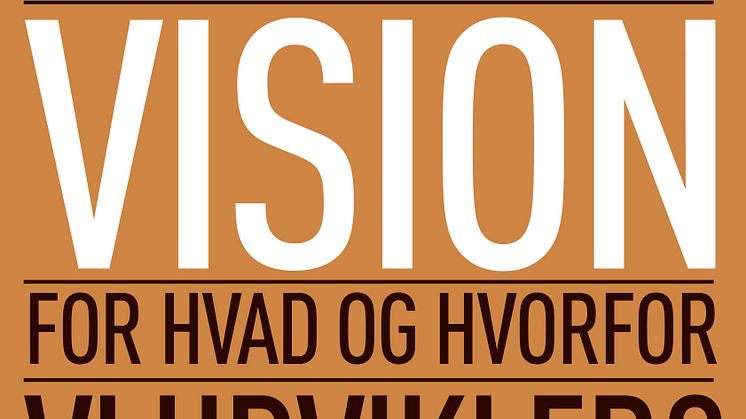 Har vi en klar vision for hvad og hvorfor vi udvikler?