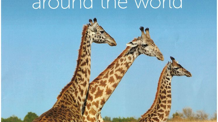'Making Memories Around the World' with Fred. Olsen Cruise Lines