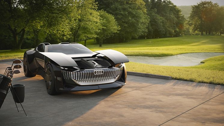 Audi skysphere med plads til to specialdesignede golftasker i frunken