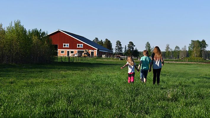 MinGård - en mobilanpassad, användarvänlig, flexibel och öppen plattform för mjölk- och köttföretagare