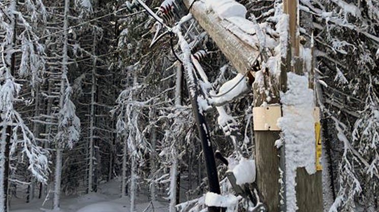 Bild från Holmön som visar hur stormen har knäckt en av ledningsstolparna. Foto: Umeå Energi
