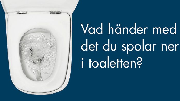 Stockholm Vatten och Avfalls tips är att ställa en papperskorg i badrummet för bomull, plast och annat skräp