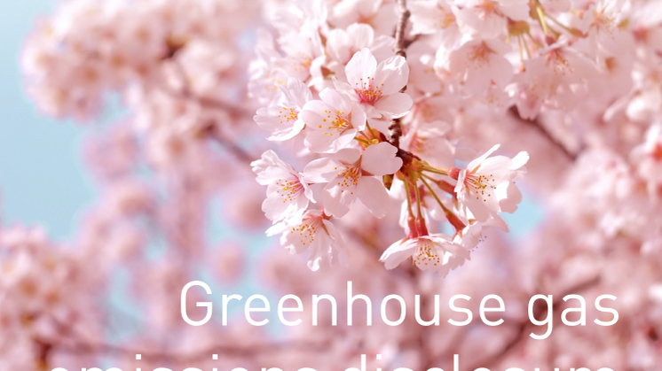 The Haga Initiative Climate Disclosure 2019