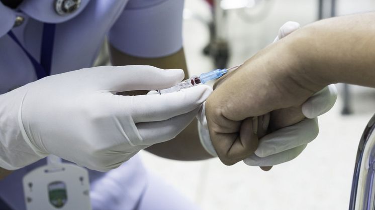 Global accolades for patient safety research