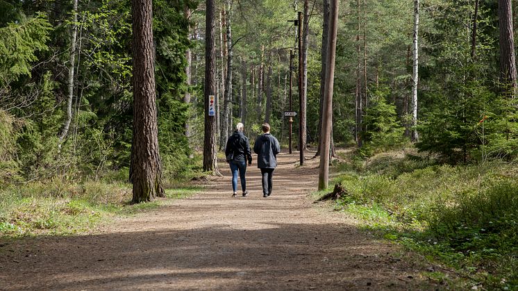 Belysningen i Kårsta elljusspår kommer att vara miljöanpassad närvarostyrd belysning som tonas ned till en styrka av 20 procent av sin maxkapacitet när ingen rör sig i spåret. Tekniken har under de senaste åren testats på Vallentuna IP.