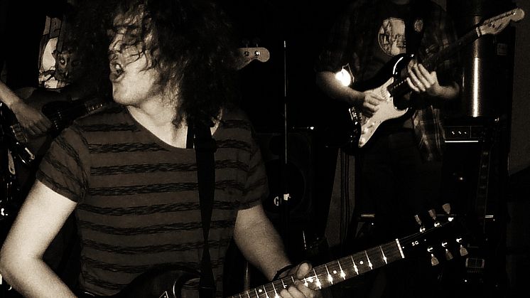 Skankyfreds Bluesband Showcase 2013