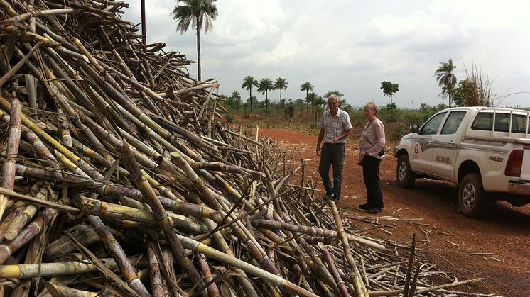 Addax Bioenergy blir FN:s första Clean Development Mechanism-projekt i Sierra Leone