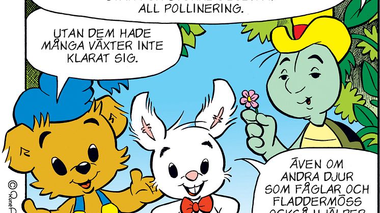 Serieruta Bamse nr6
