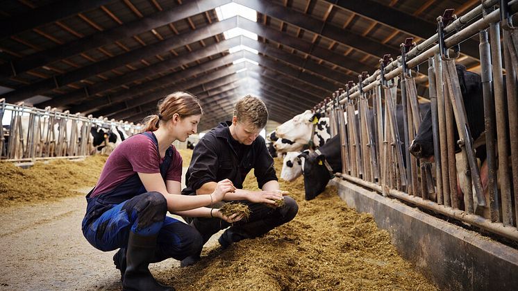 Arla Foods_landmandsejet