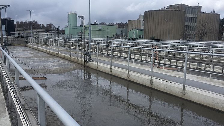 Små mängder tungmetaller i avloppet kan ge stort utslag i slammet på reningsverket.