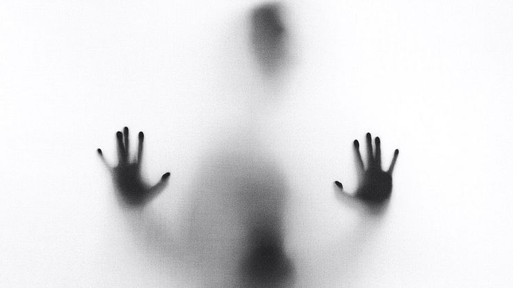 Psychische Erkrankungen - nach wie vor die häufigste Ursache von Berufsunfähigkeit. Foto: Stefano Pollio/unsplash.com