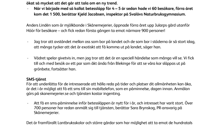 Allt fler intresserade av att se korna släppas ut!