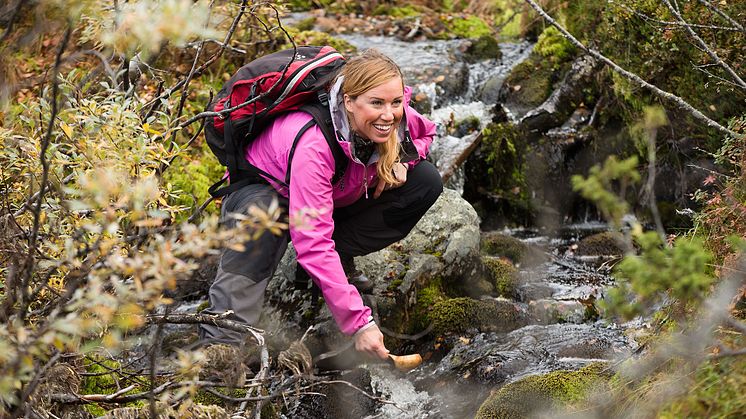 Stort intresse för fjällvandring när svenskar turistar på hemmaplan