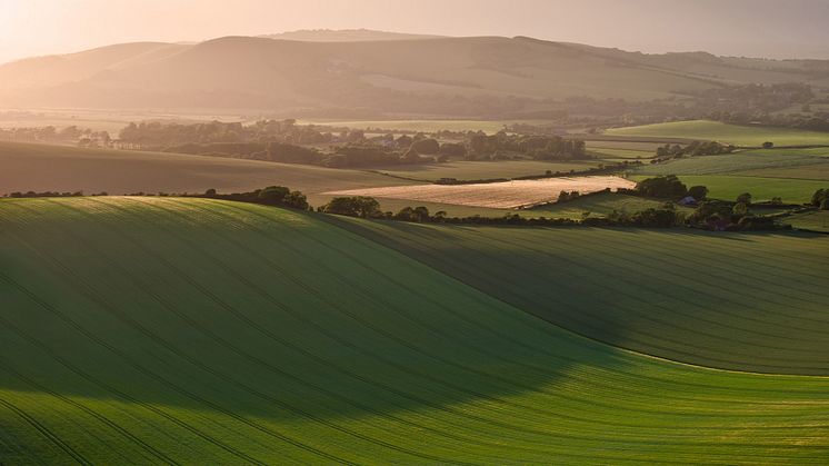 South Downs