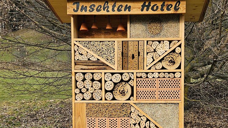 Insektenhotel Sagogn 