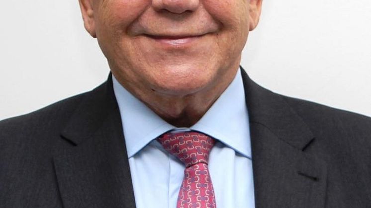 Thies Knauf, CEO
