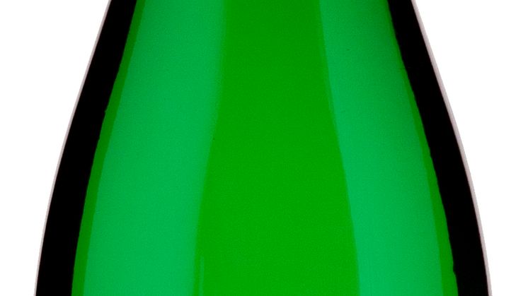 +46 Magnum Apple 4,5%