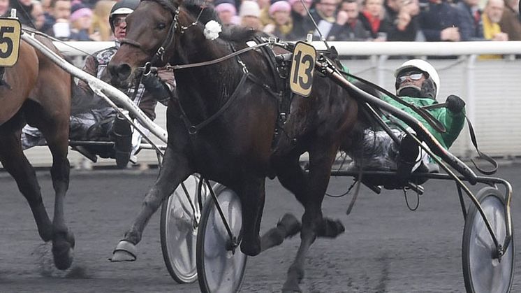 Urlo dei Venti drar sig ur Elitloppet