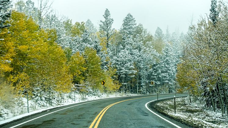 Snö