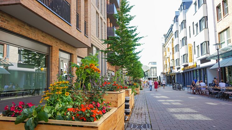Die Schloßstraße in Kiel erblüht seit heute in neuer Pracht