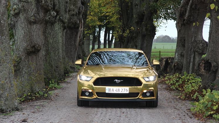 Ford overrasker guldbryllupspar