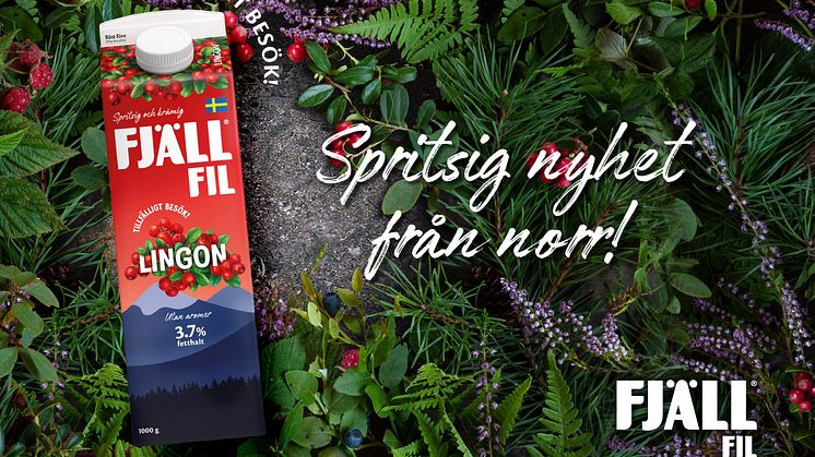 Fjällfil® Lingon - en smak från skog och mark