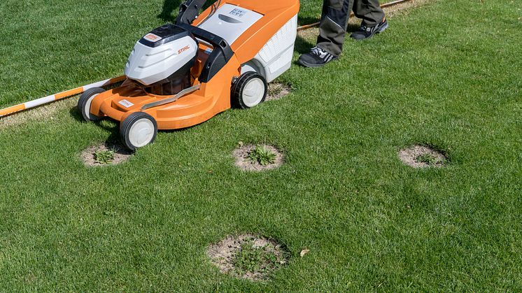 STIHL_Biodiversitaet_03