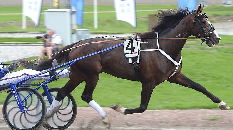 Racing Mange och Joakim Lövgren har kvalat in till Elitloppet på Solvalla. Foto: TR Bild
