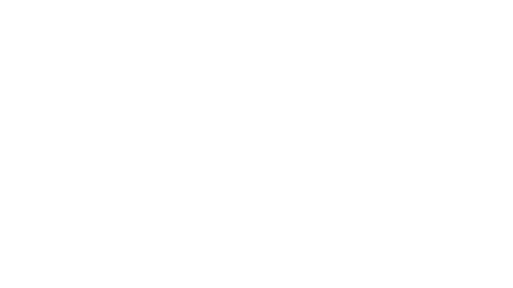 wordmark_WHITE