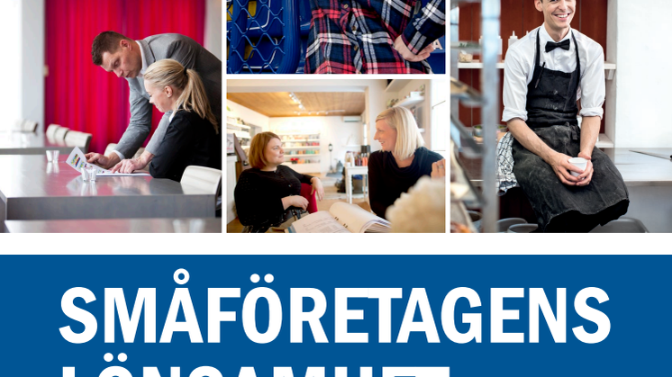 Småföretagens lönsamhet