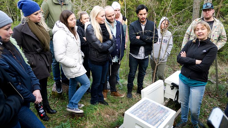 Kockar och servis från Fotografiska lär sig om bin