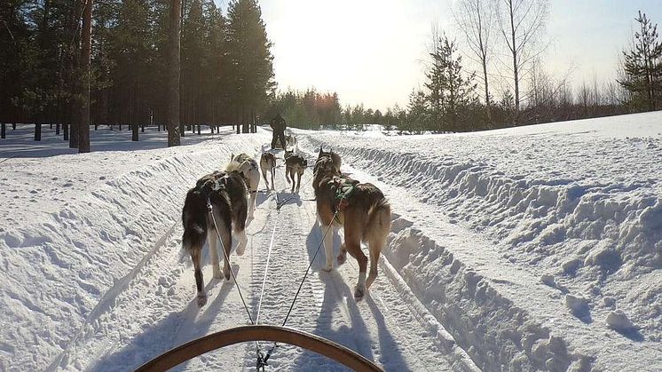 Flygplatstransfer i en fjällby
