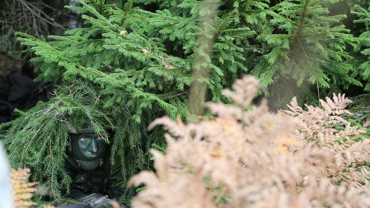 Foto: Mona Olsson/Försvarsmakten
