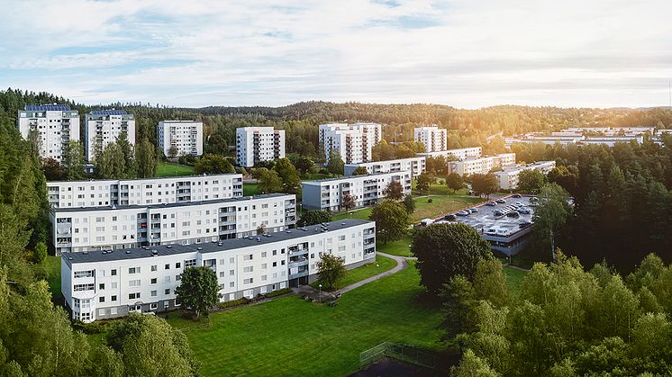 Vy över Hässleholmen. Fotograf: Tomas Eriksson